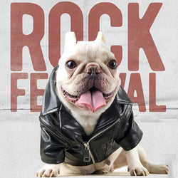 Cool Pet Dog Clothes
