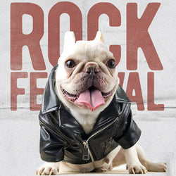 Cool Pet Dog Clothes