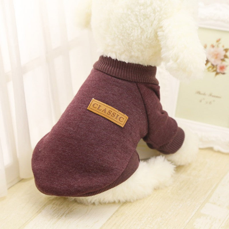 Sweater Dog Jacket