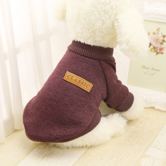 Sweater Dog Jacket