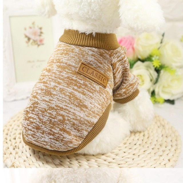 Sweater Dog Jacket
