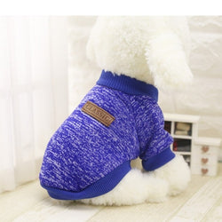Sweater Dog Jacket