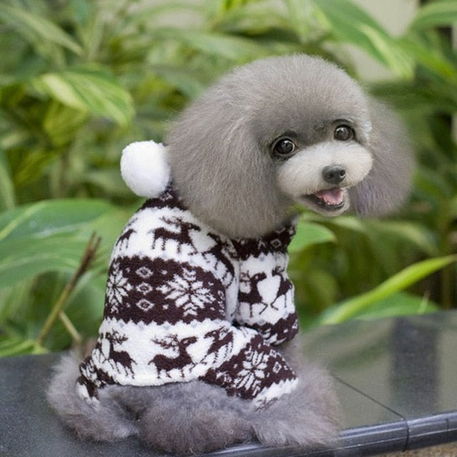 Dogs Pet Clothing