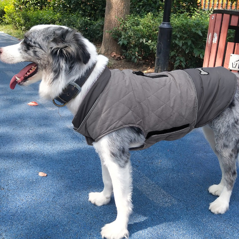 Plus Size Pet Dog Clothes