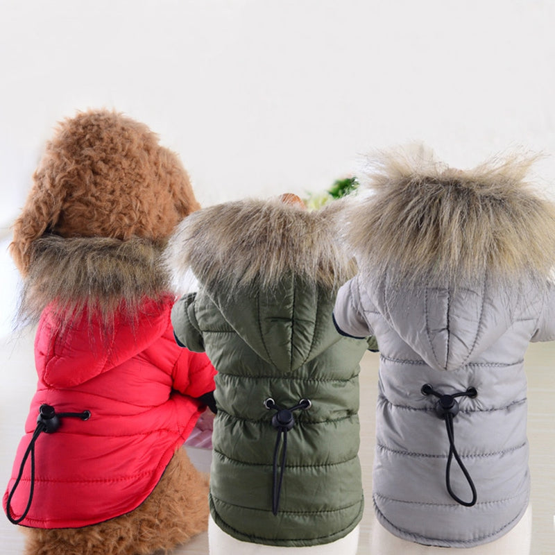 Clothes Warm  Jacket