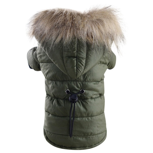 Clothes Warm  Jacket