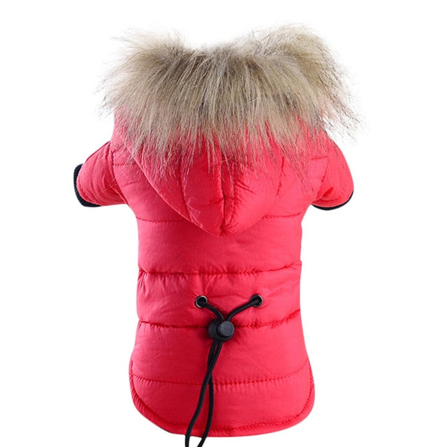 Clothes Warm  Jacket