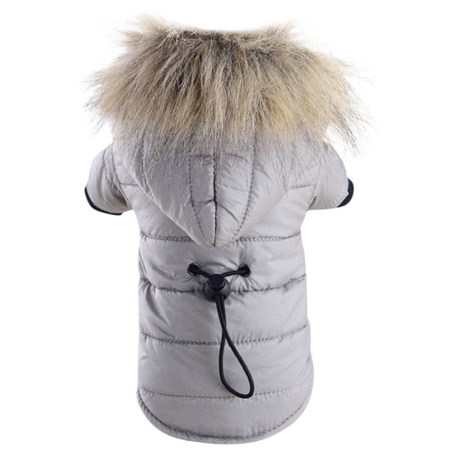 Clothes Warm  Jacket